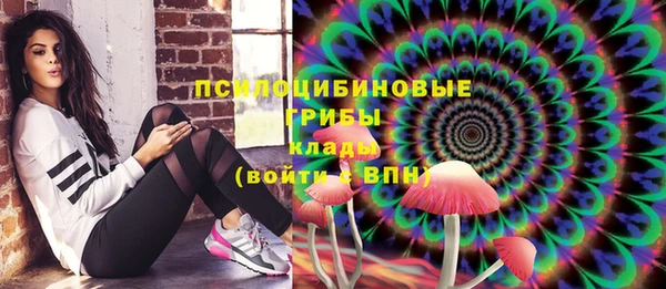 ALPHA PVP Белокуриха