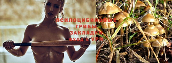 прущий лед Белоозёрский