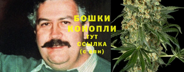 ALPHA PVP Белокуриха