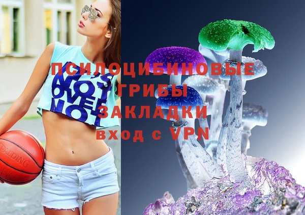 бошки Беломорск