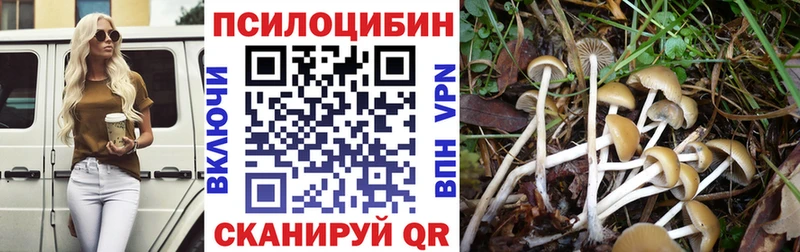 наркотики  Облучье  Галлюциногенные грибы прущие грибы 